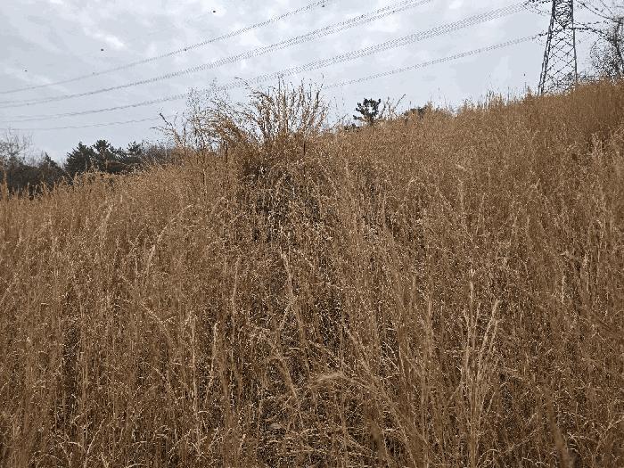 사진 05