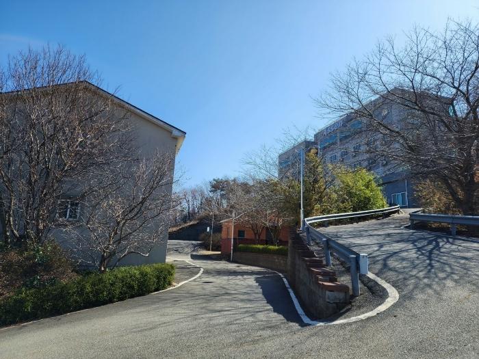사진 02