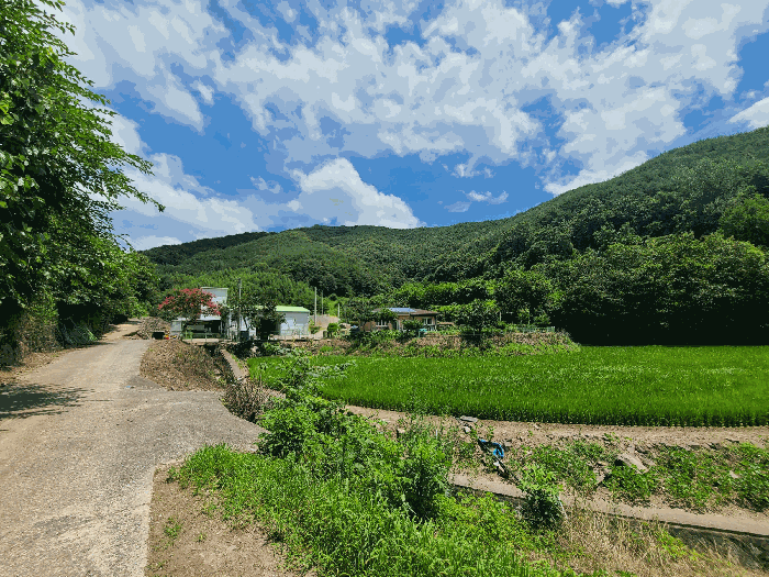사진 06