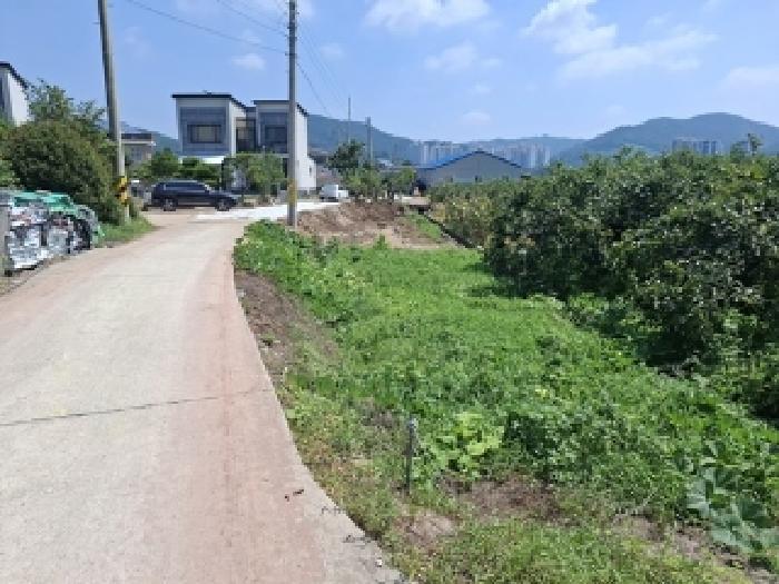 사진 06