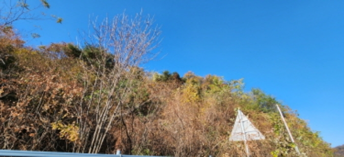 사진 03