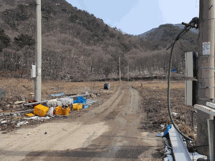사진 03