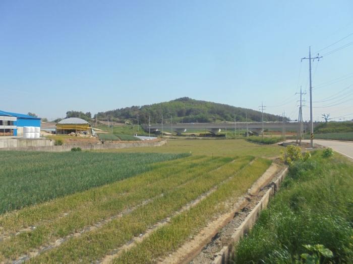 사진 02