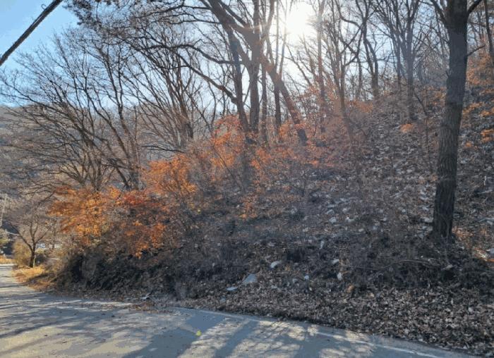 사진 05