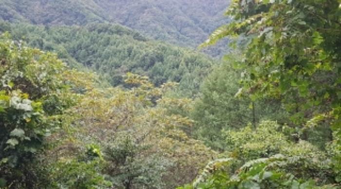 사진 08