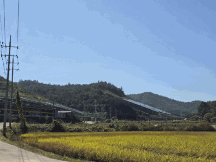 사진 01