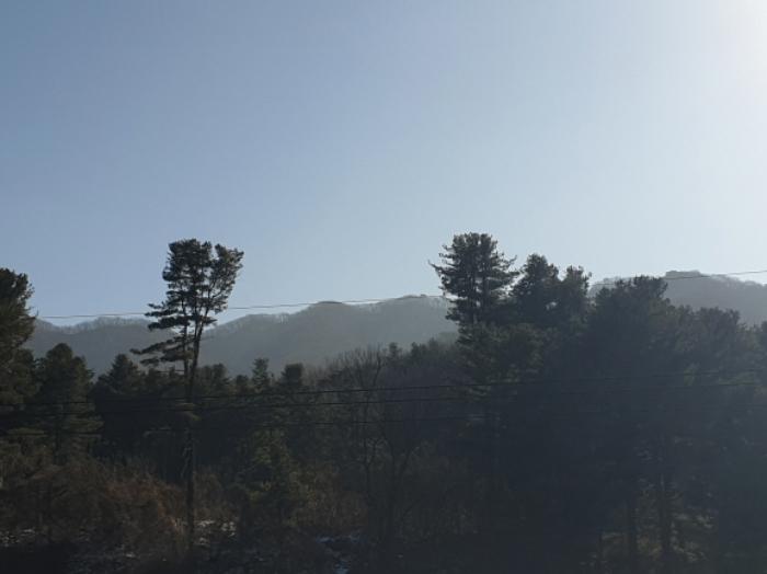 사진 05