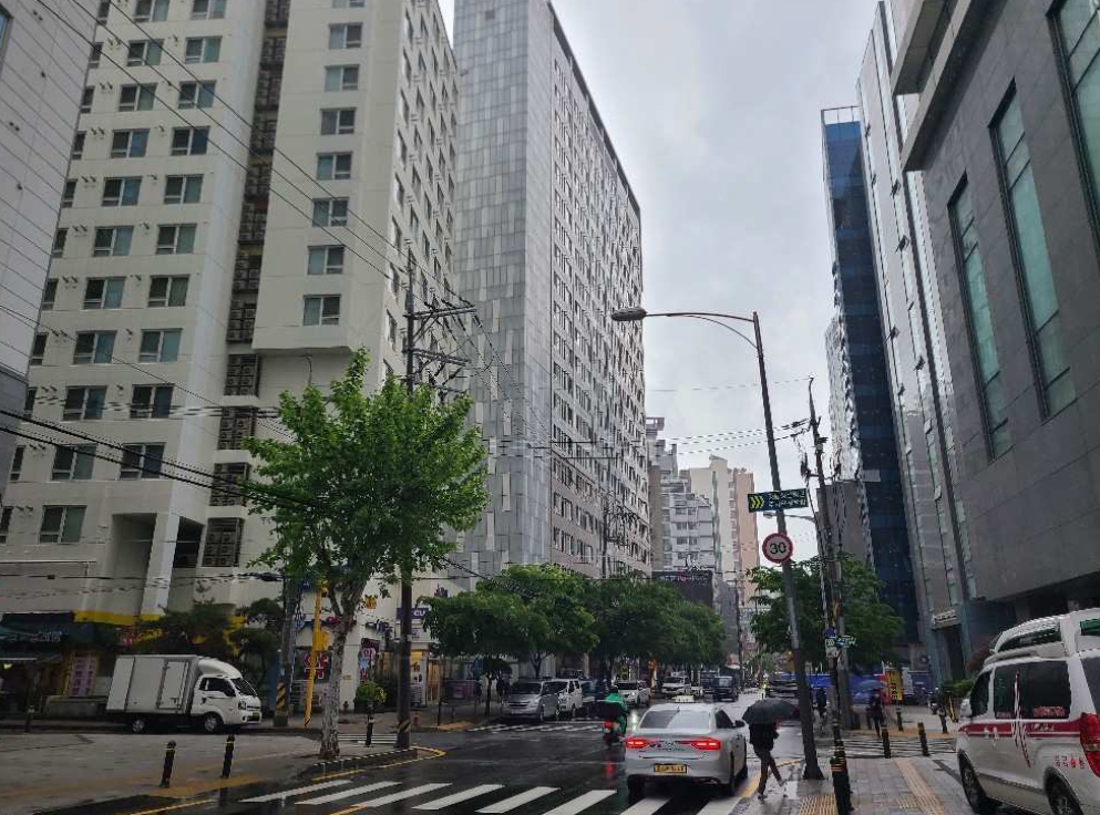 사진 06