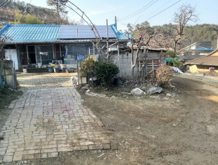 사진 02