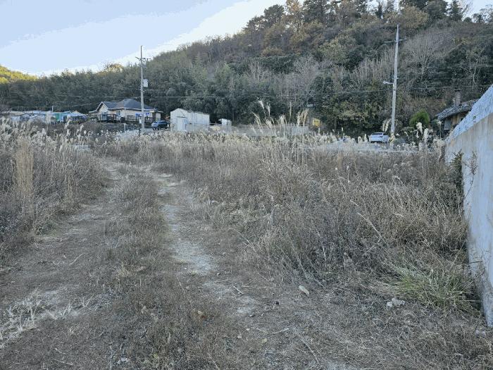 사진 03