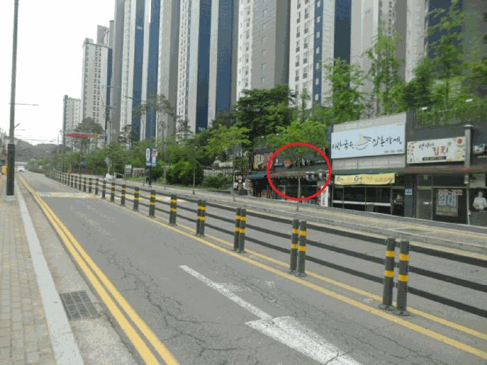 사진 03