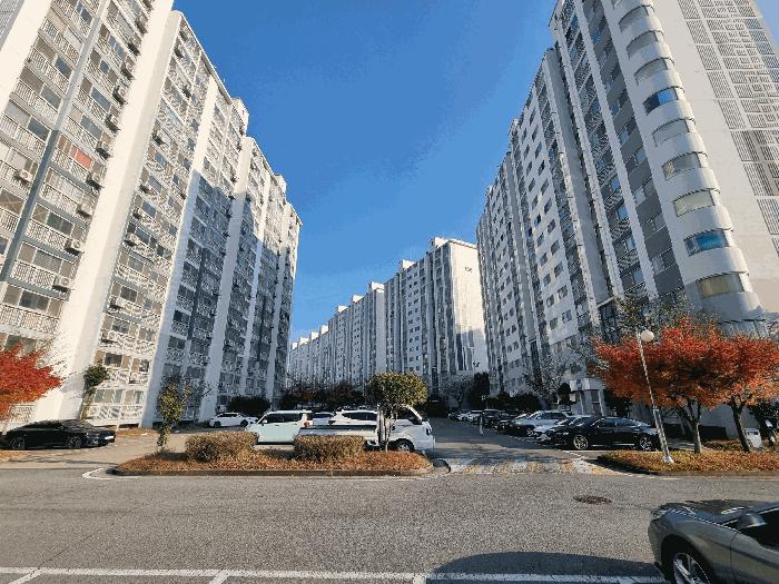 사진 03