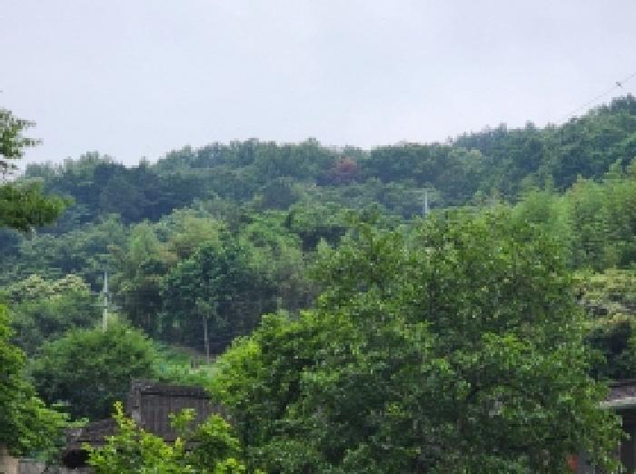 사진 07