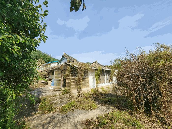 사진 05