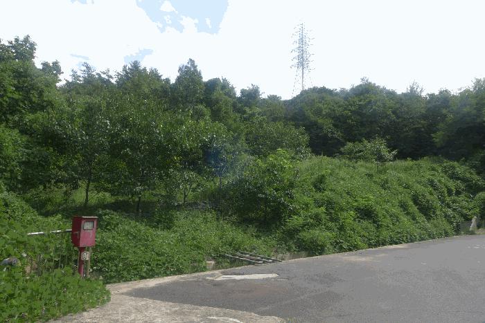 사진 01