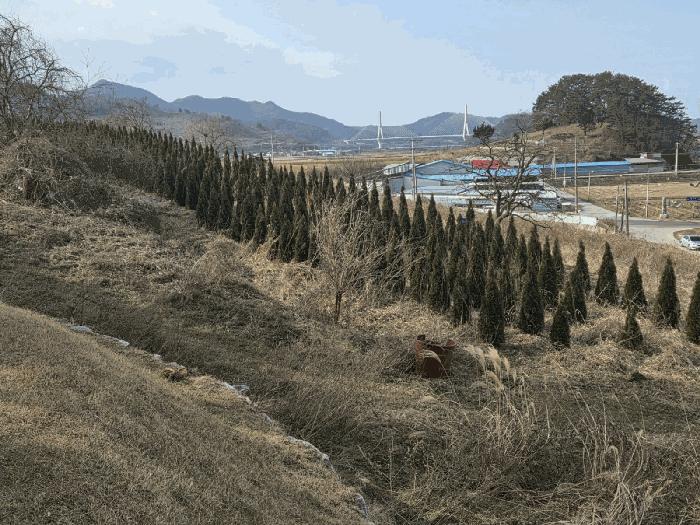 사진 05