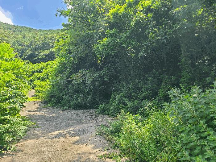 사진 08