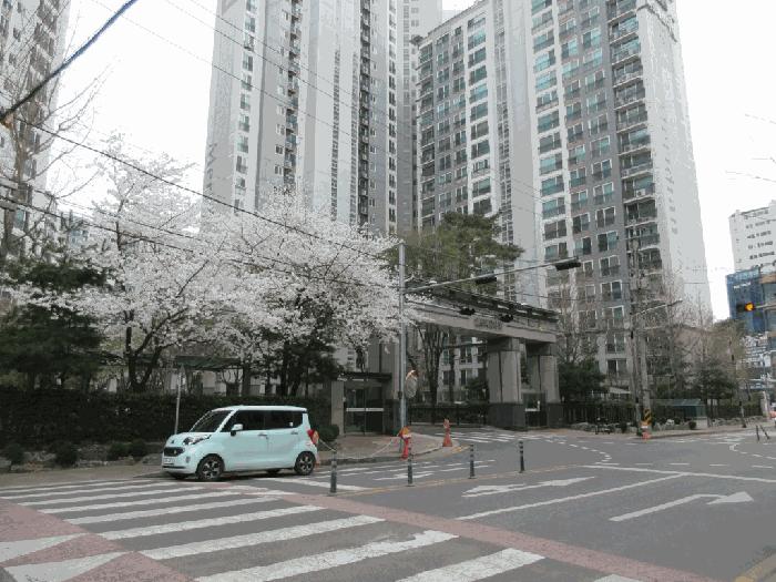사진 07