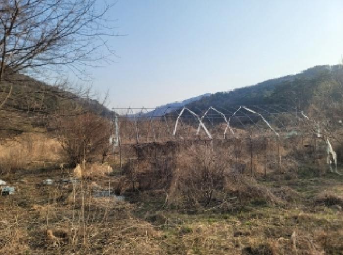 사진 05