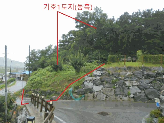 사진 03