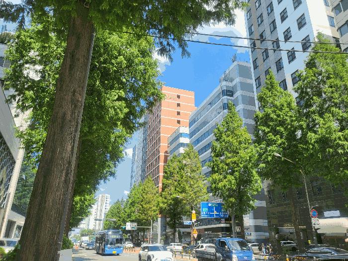 사진 03