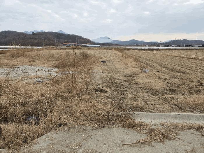 사진 03