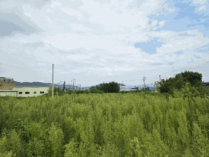 사진 02