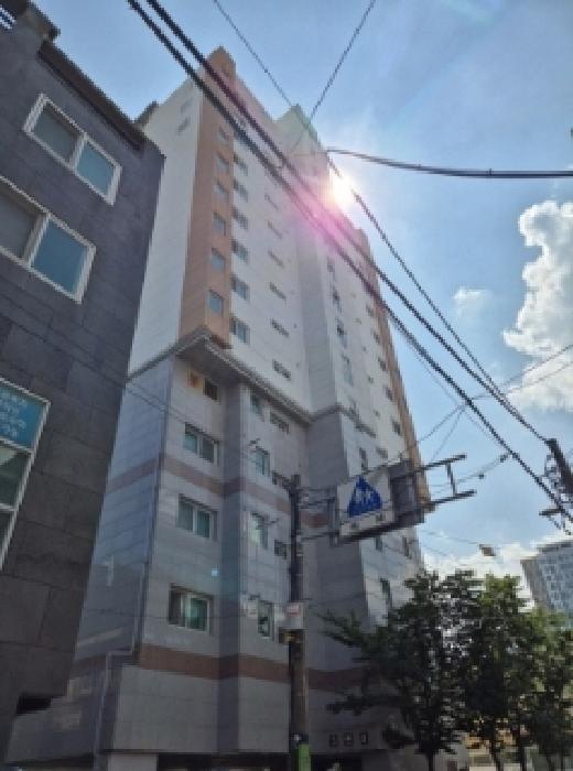 사진 07