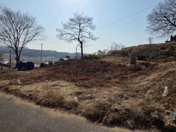 사진 04
