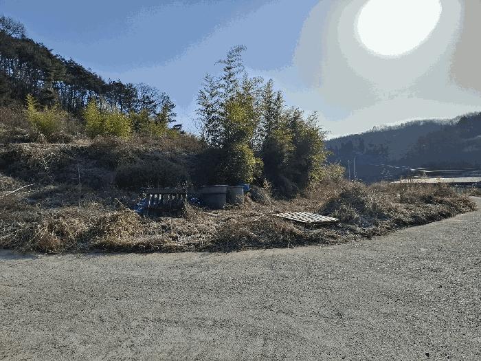 사진 08