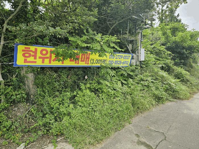 사진 08