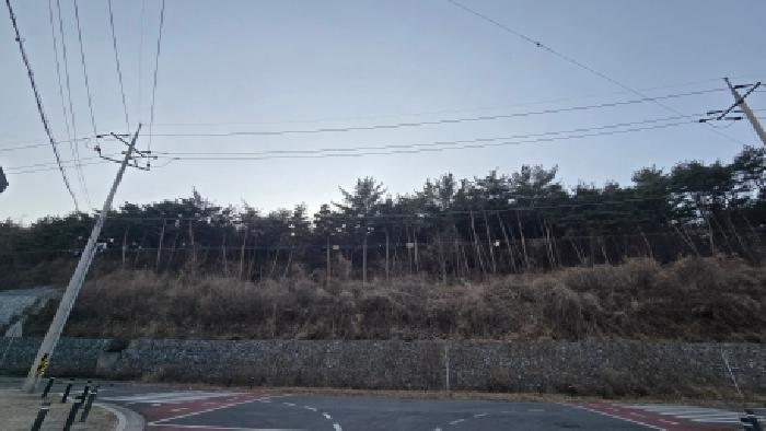 사진 05