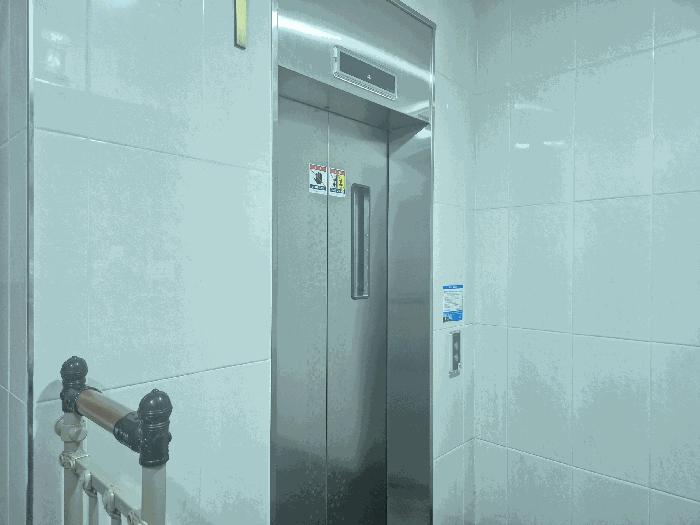 사진 08