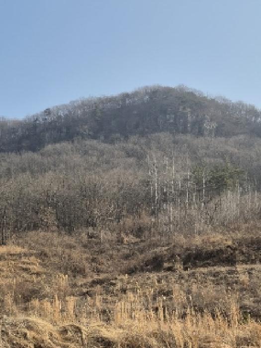 사진 05