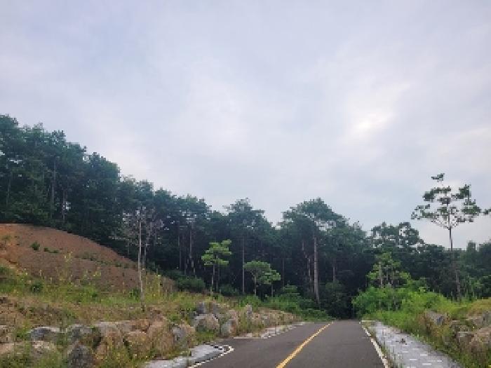 사진 03