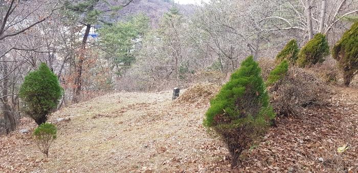 사진 08