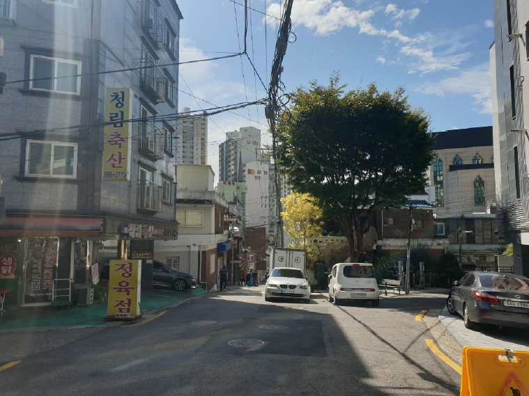 사진 03
