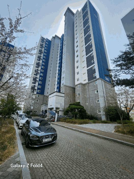 사진 03