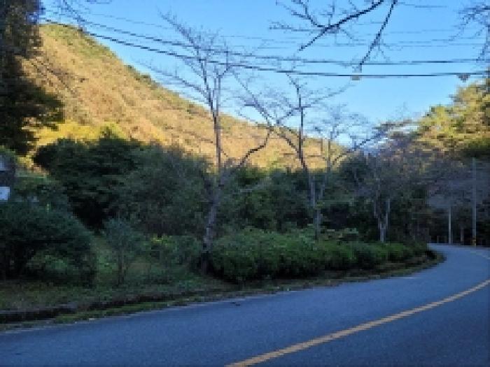 사진 07