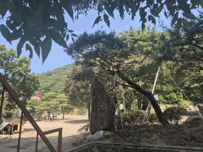 사진 07