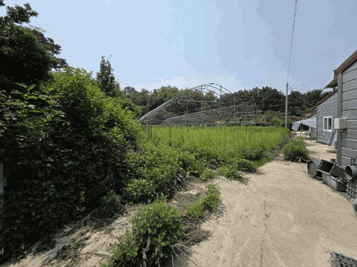 사진 06