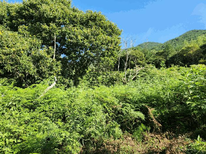 사진 06