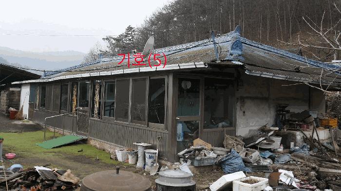 사진 06