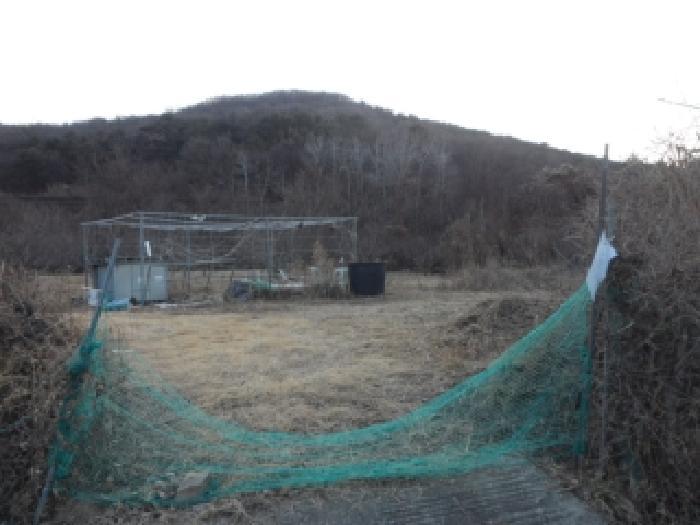 사진 07