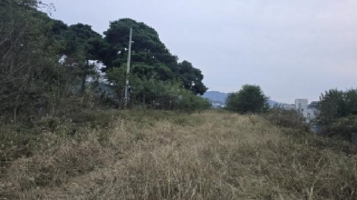 사진 06