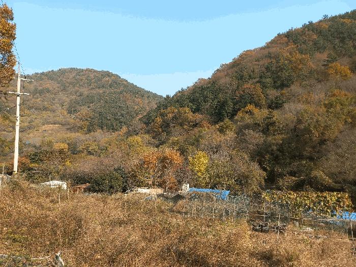 사진 08