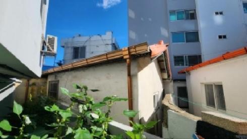 사진 02