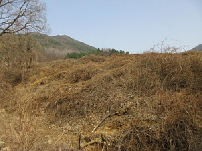 사진 07