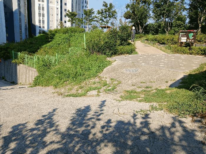 사진 07