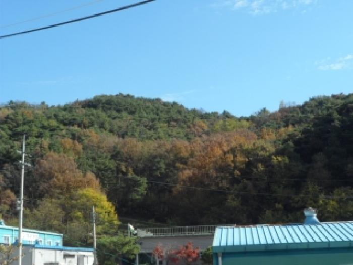 사진 07